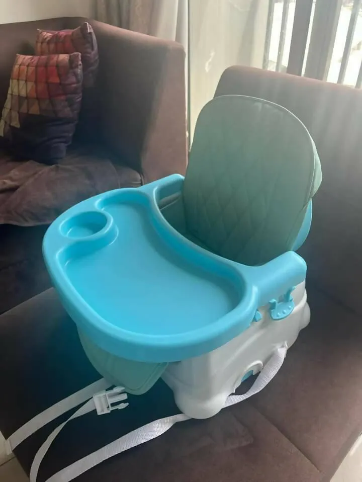 BABYHUG Booster Chair