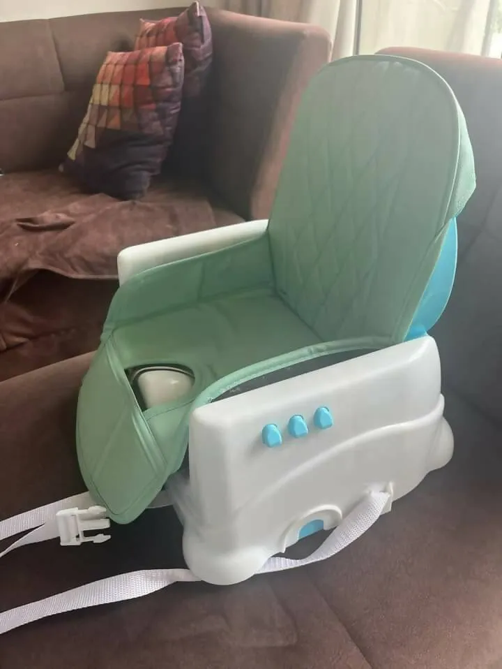 BABYHUG Booster Chair