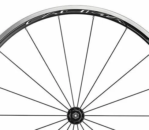 Campagnolo Calima Front Spoke Set- 276mm