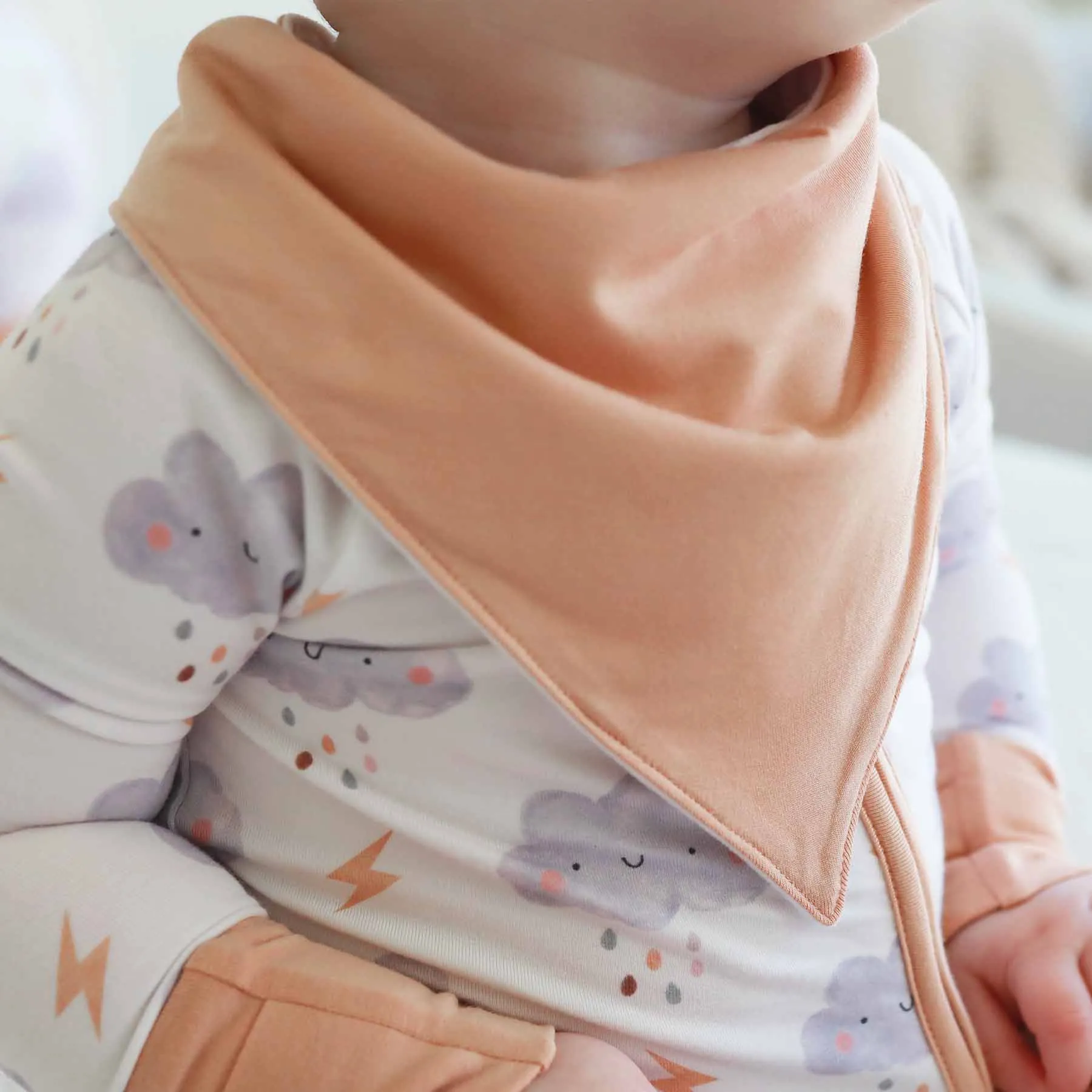 Cloudy Cuddles 2pc Bandana Bibs