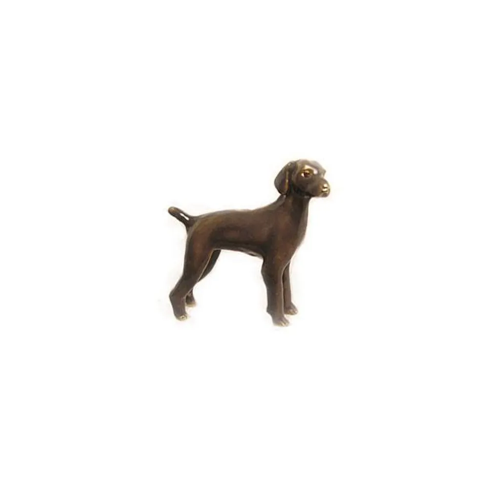 Dark Brown Weimaraner Adorable Pooch Pin