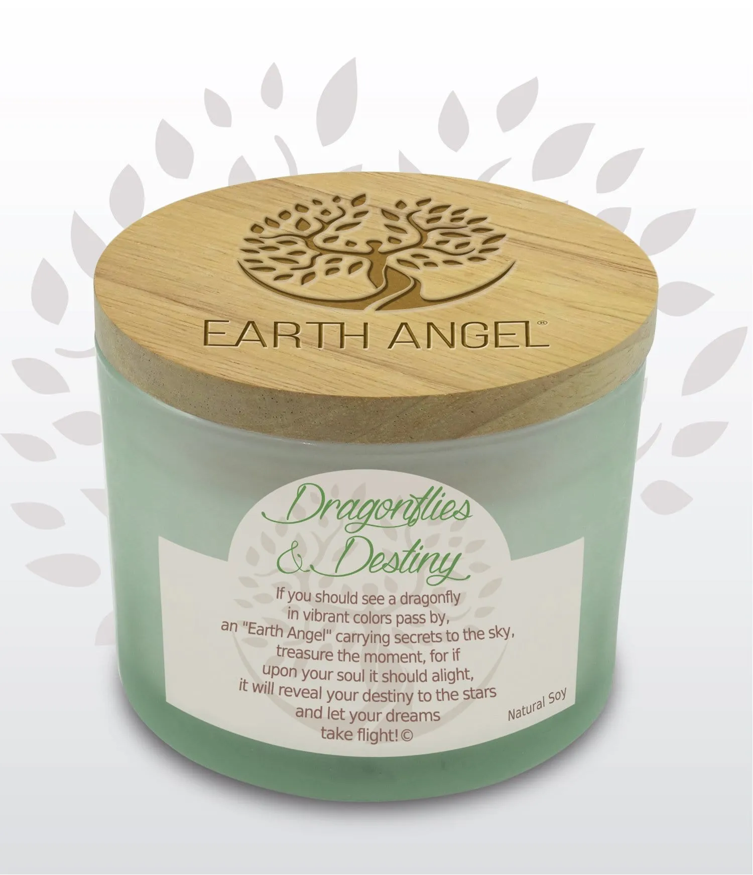 Dragonflies & Destiny: Soy Candle