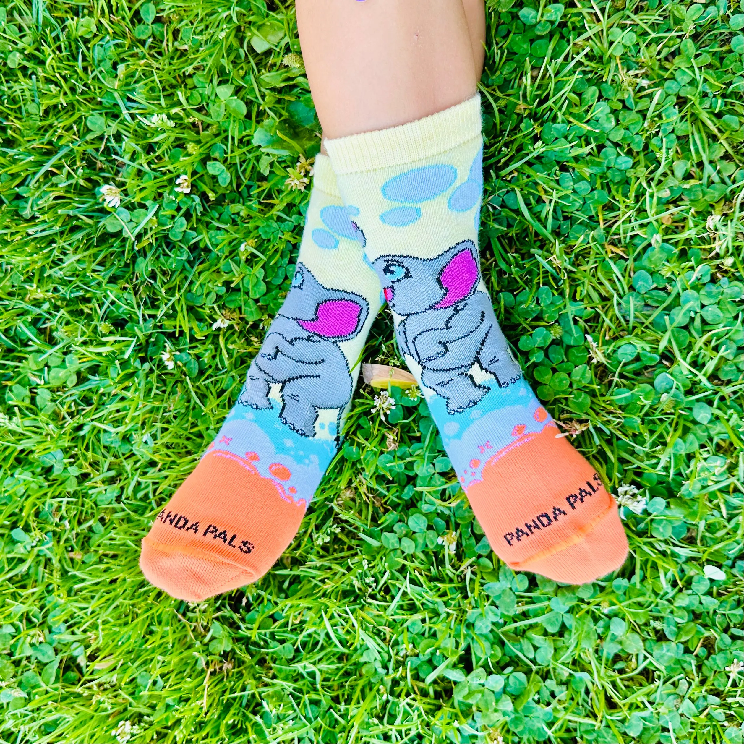 Elephant Bubbles Socks from the Sock Panda (Ages 3-7)